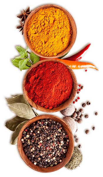 RUCHI Blended Spices